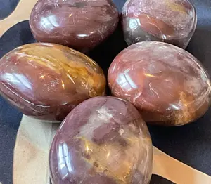 Petrified Wood Palm Stone