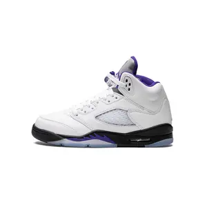 Air Jordan 5 Retro GS "Concord" 440888 141