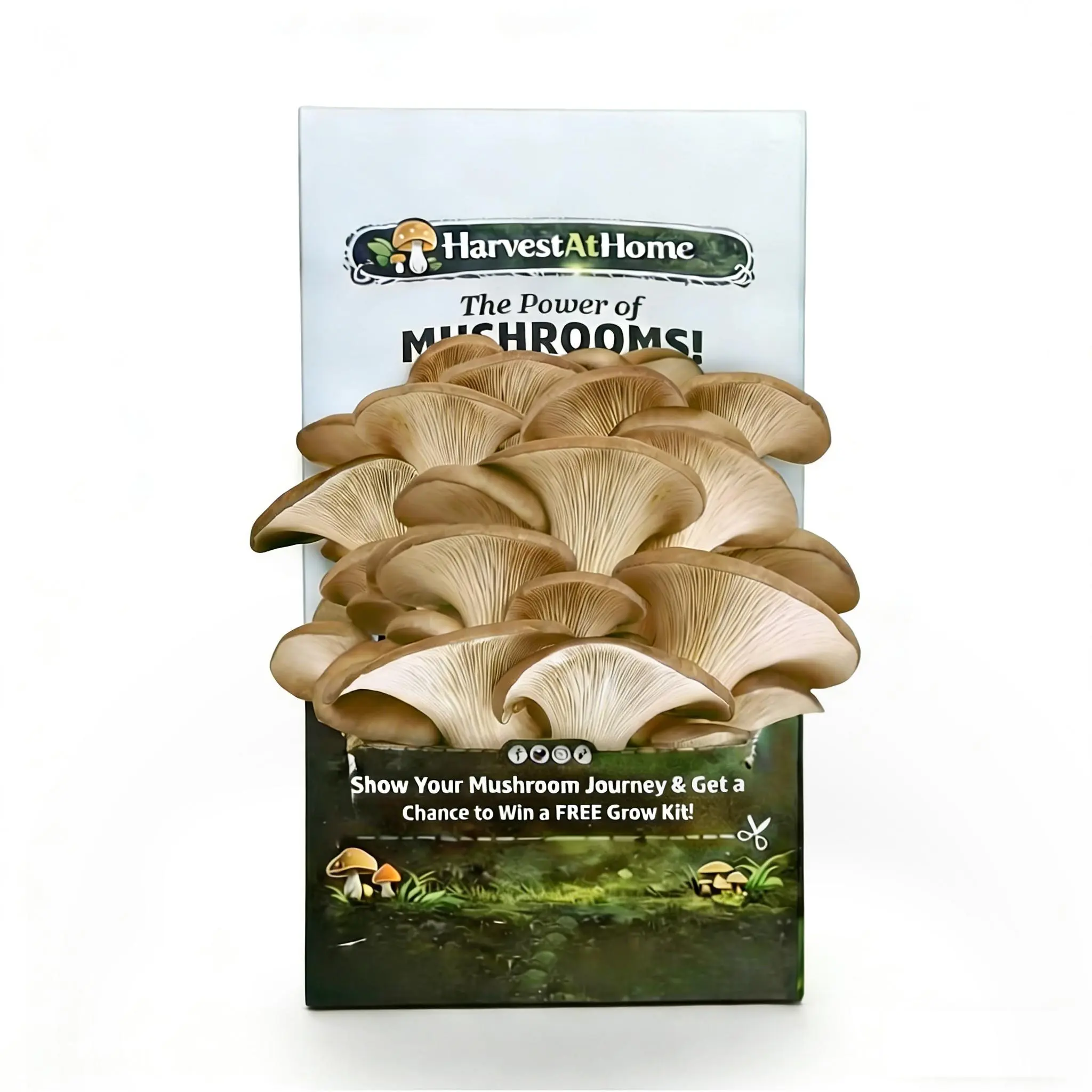 2026 New Organic Oyster Mushroom Grow Kit (3.5 lb) - Indoor Home Gardening Kit, 1-7 Days Visible Growth, No Soil/Sunlight Needed, Multiple Harvests, Made in USA, Gift for Adults