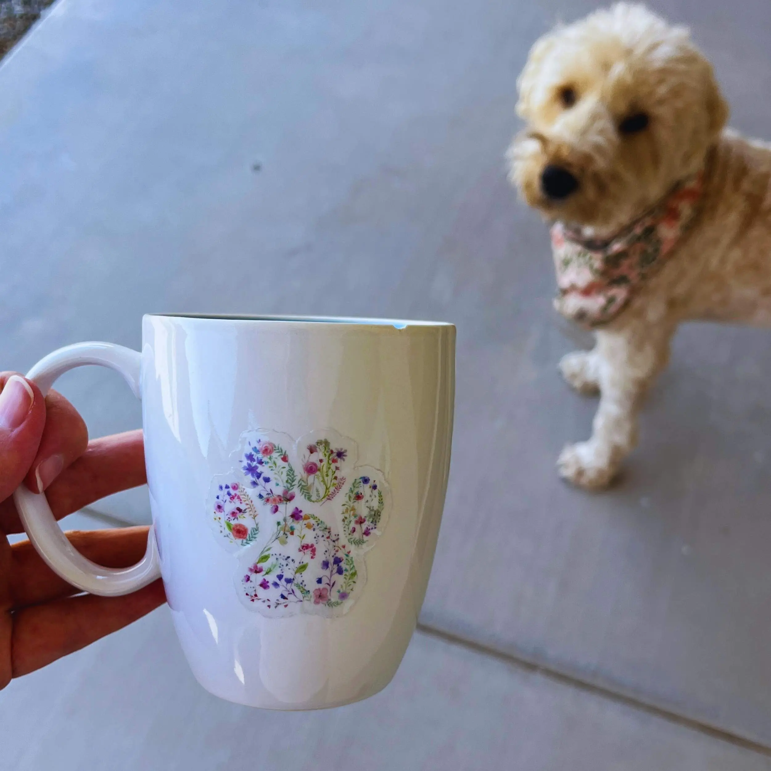 Transparent Floral Paw Print Sticker for Pet Lovers Vet Techs Cute and Classy Design