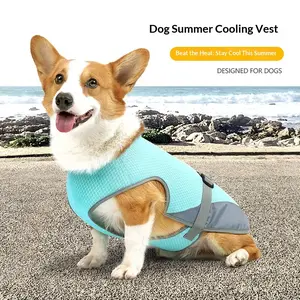 Pet Sun Protection Jacket Upf50+, Lightweight Breathable Summer Outdoor Essential, Cool & Ventilated Pet Clothing