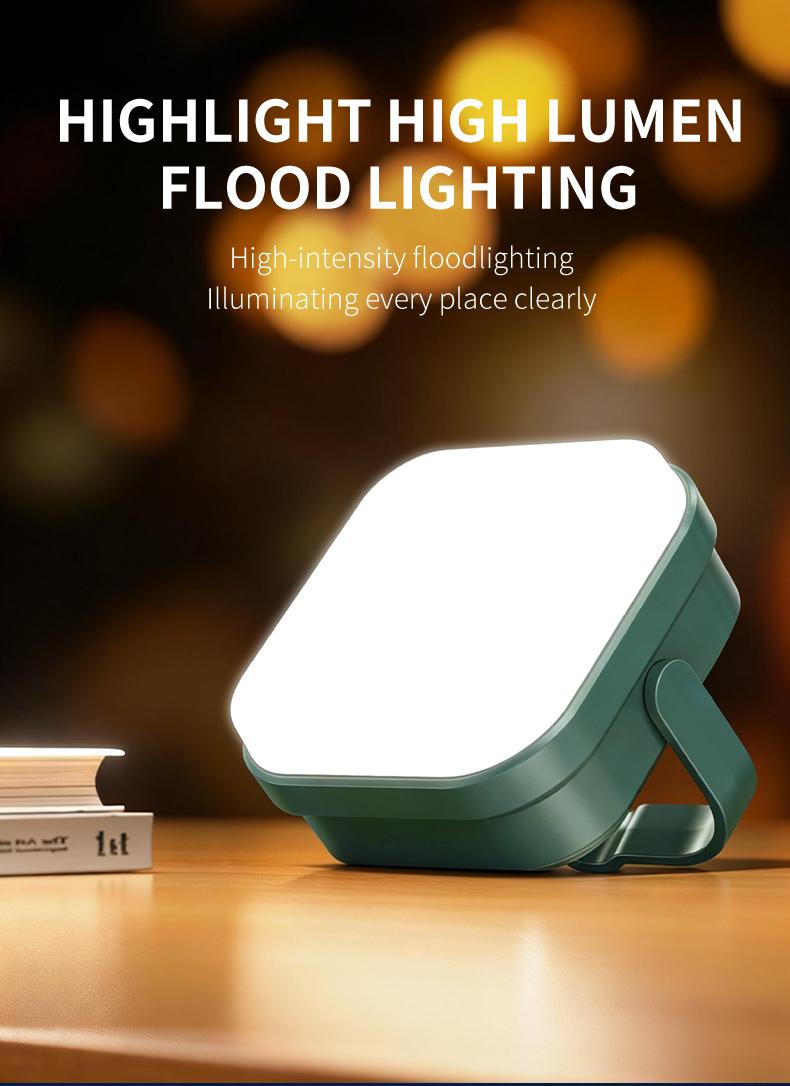Black Panda-Portable Solar Light Super Convenient Dual Charging! TYPE-C Fast Charge + Solar Panel, High Lumen, Waterproof & Durable, Easy to Carry