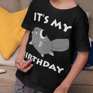 It'S My Birthday Shirt Cute Dandy'S World Pebble T-Shirt, Black, Small, Cute Dandy Lover Funny World Sprunki Toys Unisex-Kids Black Small Birthday, Dandy And Pebble World Birthday Dandy's Costume For Kids, Birthday Girl Outfit