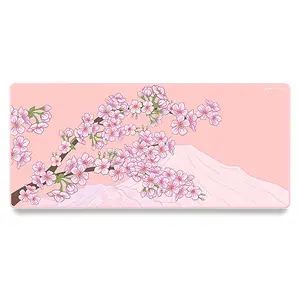 X-Raypad Aqua Control 2 Gaming Mouse Pad, Ultra-High Precision Mouse Pad with Perfect Speed and Control Capability, Consistent X and Y Glide, Designed for Fps Players with Low DPI Requirements