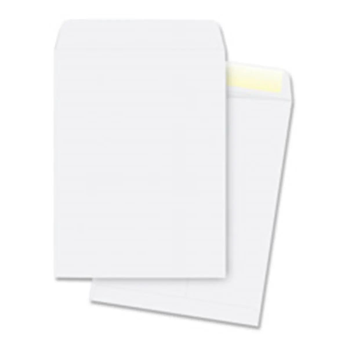 Business Source Plain Catalog Envelopes - 28Lb, 9 in. x 12 in., 250-pk, Open-End Style, Gummed Flaps, Reinforced Seams, Business Use, Secure Seal - WE