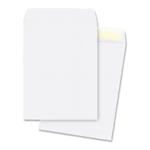 Business Source  Catalog Envelopes- Plain- 28Lb.- 9 in. x 12 in.- 250-PK- WE
