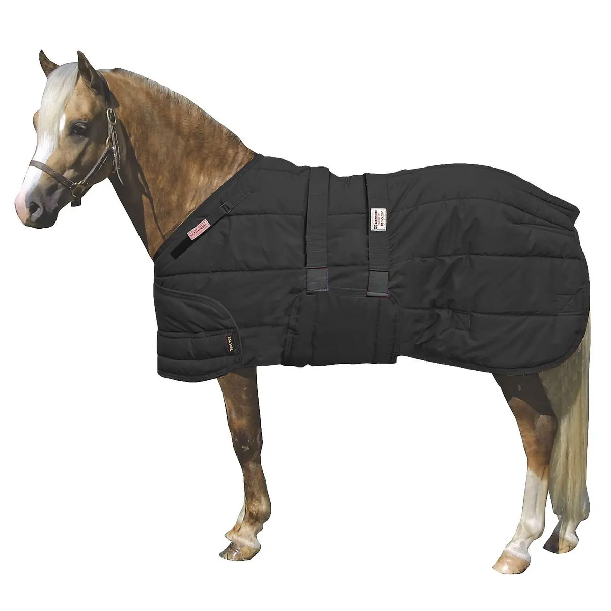 Dura-Nylon Expandable Adjustable Bellyband Stable Blanket for Pony/XL Foal - 6 oz. Insulation, Superior Warmth, Easy to Care For, Maintenance Free, Lightweight