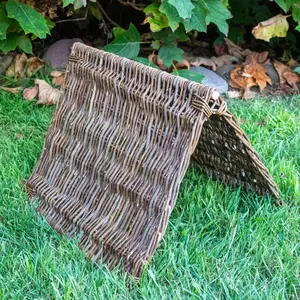 Willow Tent