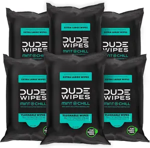 DUDE Wipes Flushable Wipes Travel Pack - 6 Pack, 108 Wipes - Mint Chill Extra-Large Adult Wet Wipes - Septic and Sewer Safe Butt Wipes Toilet