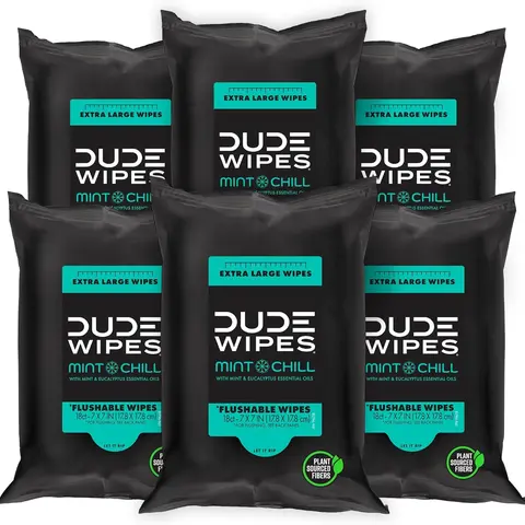 DUDE Wipes Flushable Wipes Travel Pack - 6 Pack, 108 Wipes - Mint Chill Extra-Large Adult Wet Wipes - Septic and Sewer Safe Butt Wipes Toilet, Flushable Wipes Women, Mess Free Cleanup, Non-Toxic Toilet Paper & Wipes