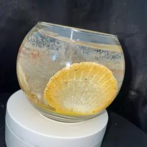 Solar plexus Ocean View