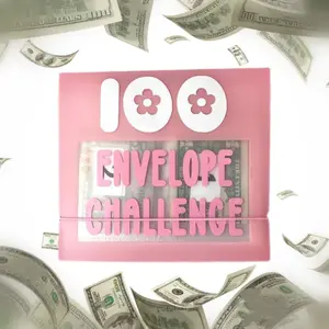 100 Envelope Challenge Binder Kit -Saving Challenge Box kit Cash Saving Challenge Kit-Pink
