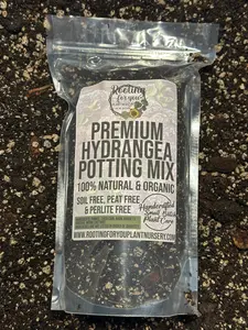 Hydrangea Premium Potting Mix