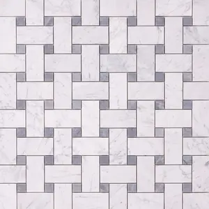 Carrara White Large Basketweave with Blue Gray Marble Polished/Honed Sample