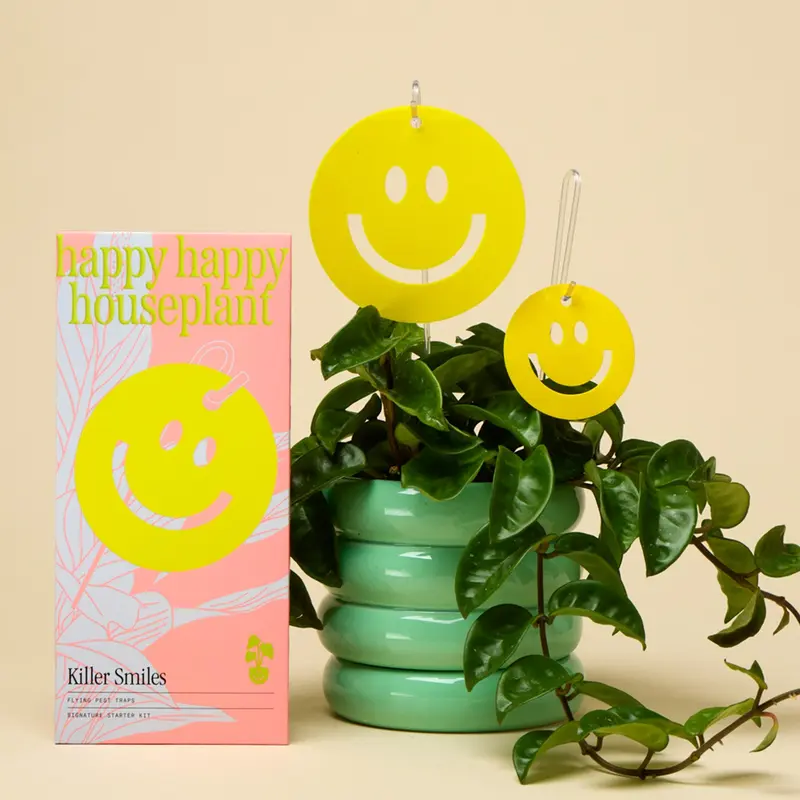 Fungus Gnat Death Drops - TikTok Shop