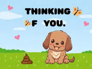 Thinking F*** YOU - Pile of Poop Prank Postcard -  Sent Anonymously To Victim