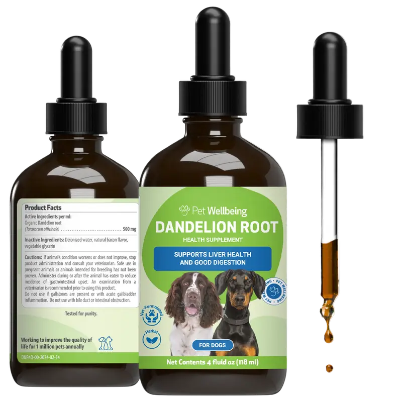 philodendron toxic to dogs - TikTok Shop