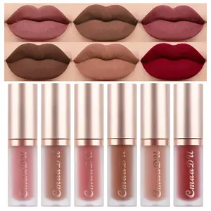 6Pcs Dark Light Nude Brown Matte Matt Liquid Lipstick Lip Gloss Glossy Set for Black Women, 24 Hour Brown Mauve Red Maroon Silky Velvet Lipstick Lip Liner set labiales matte larga duracion 24