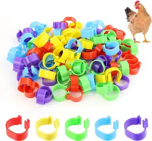 100 PCS Poultry Leg Bands – 16mm Chicken Foot Rings for Identification & Tagging