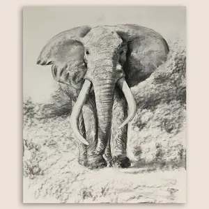 Elephant Original 11"x14" Charcoal Drawing - Loose Realistic Style