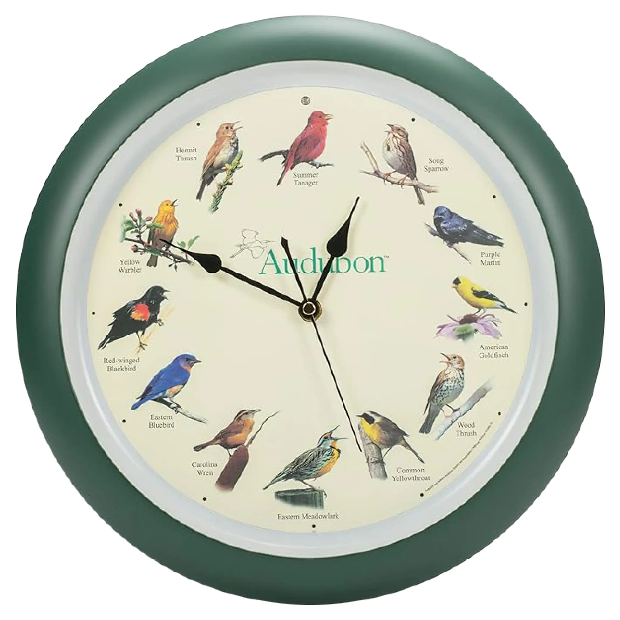 Singing Bird Sound Wall Clock with 12 Nature Bird Songs, 13 Inch Green Decorative Wall & Table Clock, Smart Light Sensor, Battery Operated Relaxing Home Decor