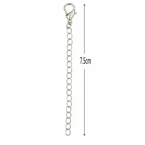 SR Pearl Co. 1 Piece 14k Gold Plated Necklace Extender Chain | Adjustable Necklace Extension | Gold & Silver Jewelry Extender | Layering Necklace Accessory