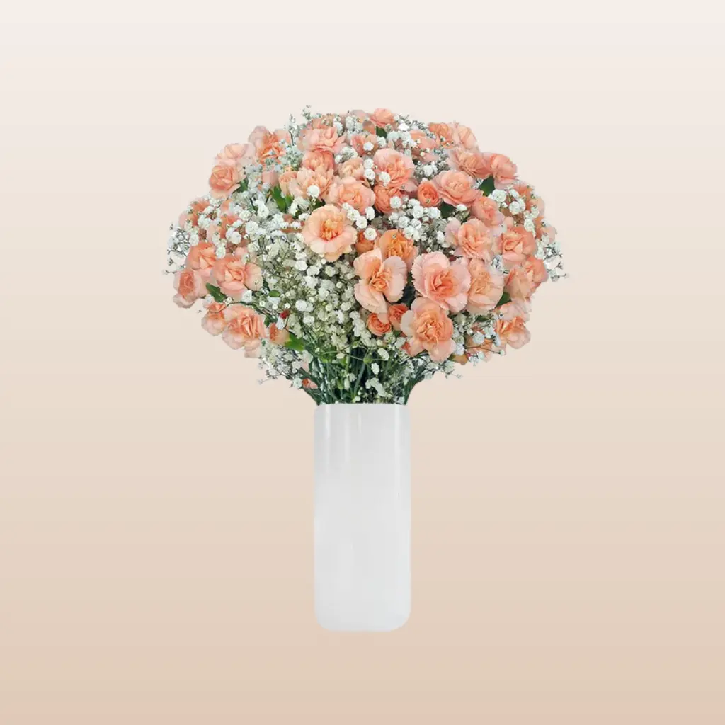 Mini Carnation Peach Bqt - 6 Bouquets with 20 Mini Carnations & Gypsophila - 1 Inch Bloom Width - 8 Days Vase Life - Value Conscious Romantic Gift