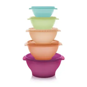 Vintage Servalier Bowl | 5-Piece Set
