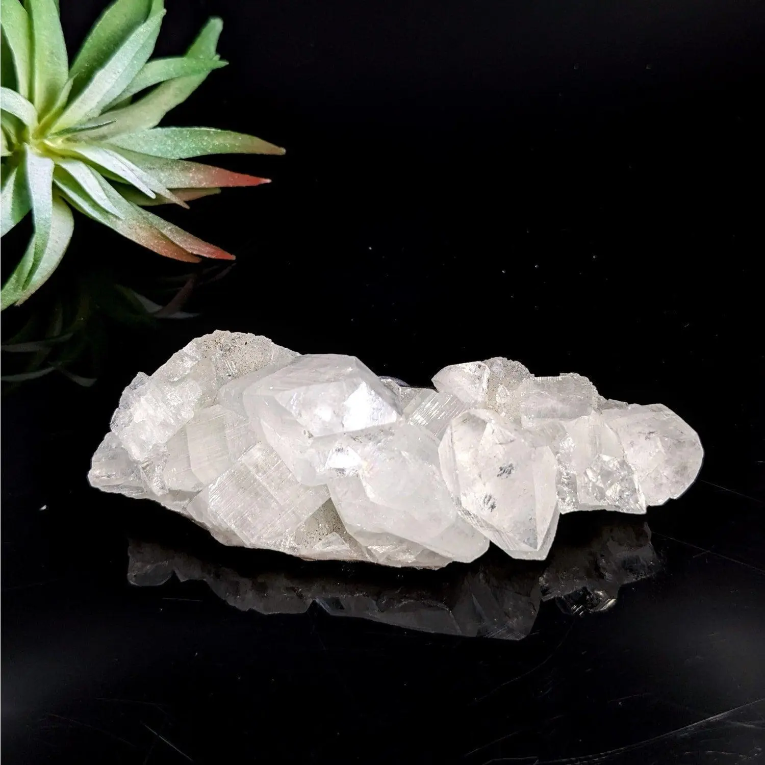 Diamond Apophyllite Cluster - Clear Crystal Specimen