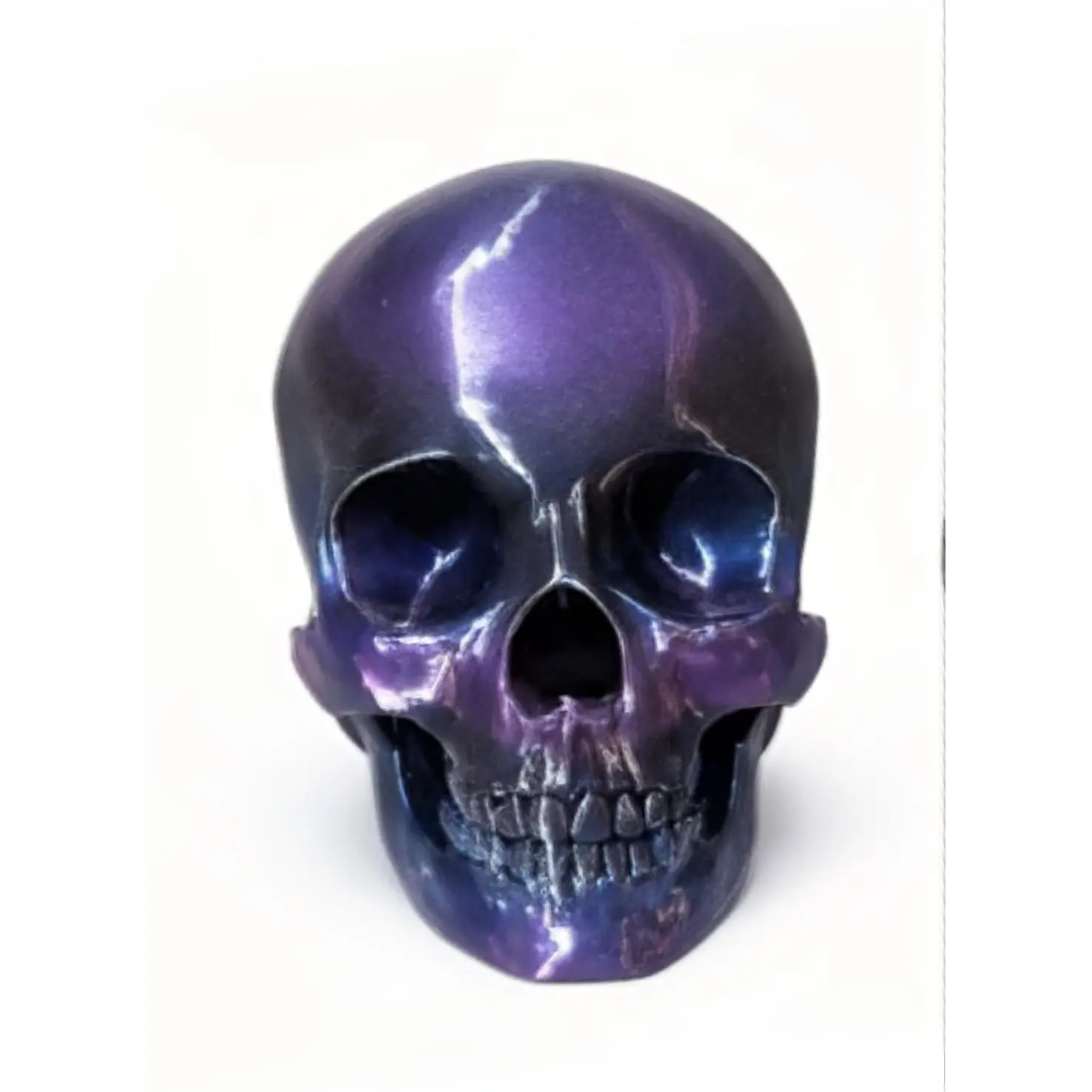 Skull Decorative Piece - Many Colors Available for Home Decor
