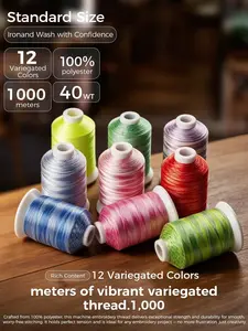 Simthread 12 Shades Variegated Embroidery Thread Kit – 1000M
