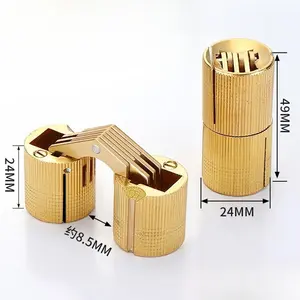 Solid Brass Barrel Hinge, Invisible Concealed Cylinder Hinge, Hidden Pure Copper Hinge for Jewelry Box Gift Box Wooden Case Electrical Cabinet, Recessed 180° Mini Brass Hinge Hardware for DIY Craft Box Furniture Cabinet