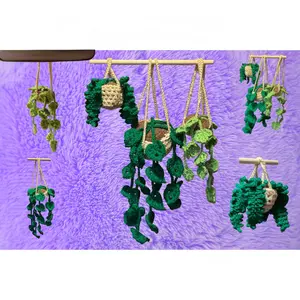 Crochet hanging plants