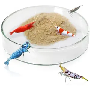 Tough Borosilicate Glass Shrimp & Gecko Feed Dish, Wide and Deep, Transparent Basin for Shrimp Food, Dog & Cat Medicine Holder