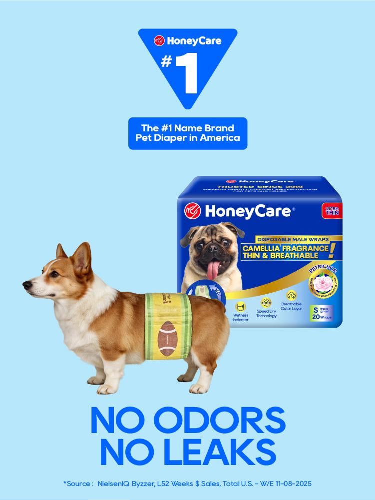 HoneyCare Petrichor Male Dog Diaper, Camellia Fragrance, Emits Fresh Scent While Absorbing Urine, Thin & Breathable, 4 in 1, SummerVibes petlovers tiktokshopspringglowup HoneyCare Petrichor Male Dog Diaper, Camellia Fragrance, Emits Fresh Scent While Absorbing Urine, Thin & Breathable, 4 in 1, SummerVibes petlovers tiktokshopspringglowup