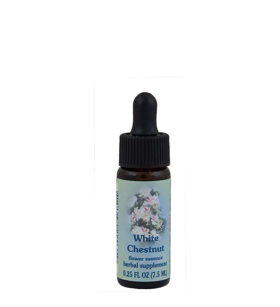 FES White Chestnut Floral Flower Essence - Aromatherapy Support for Stress Relief, Sleeplessness Relief, & Mental Calm for Alternative Health Wellness Needs