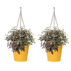 HOUSTON INTERNATIONAL TRADING   S/2 Enameled Galvanized Steel Hanging Planter