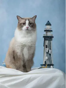 Kate 5x7ft/1.5x2.2m Blue Backdrop Texture Baby Blue Portrait Photo Shoot Studio Props