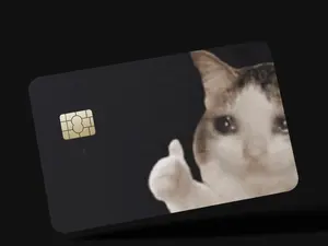 Cat Meme Credit Card cover