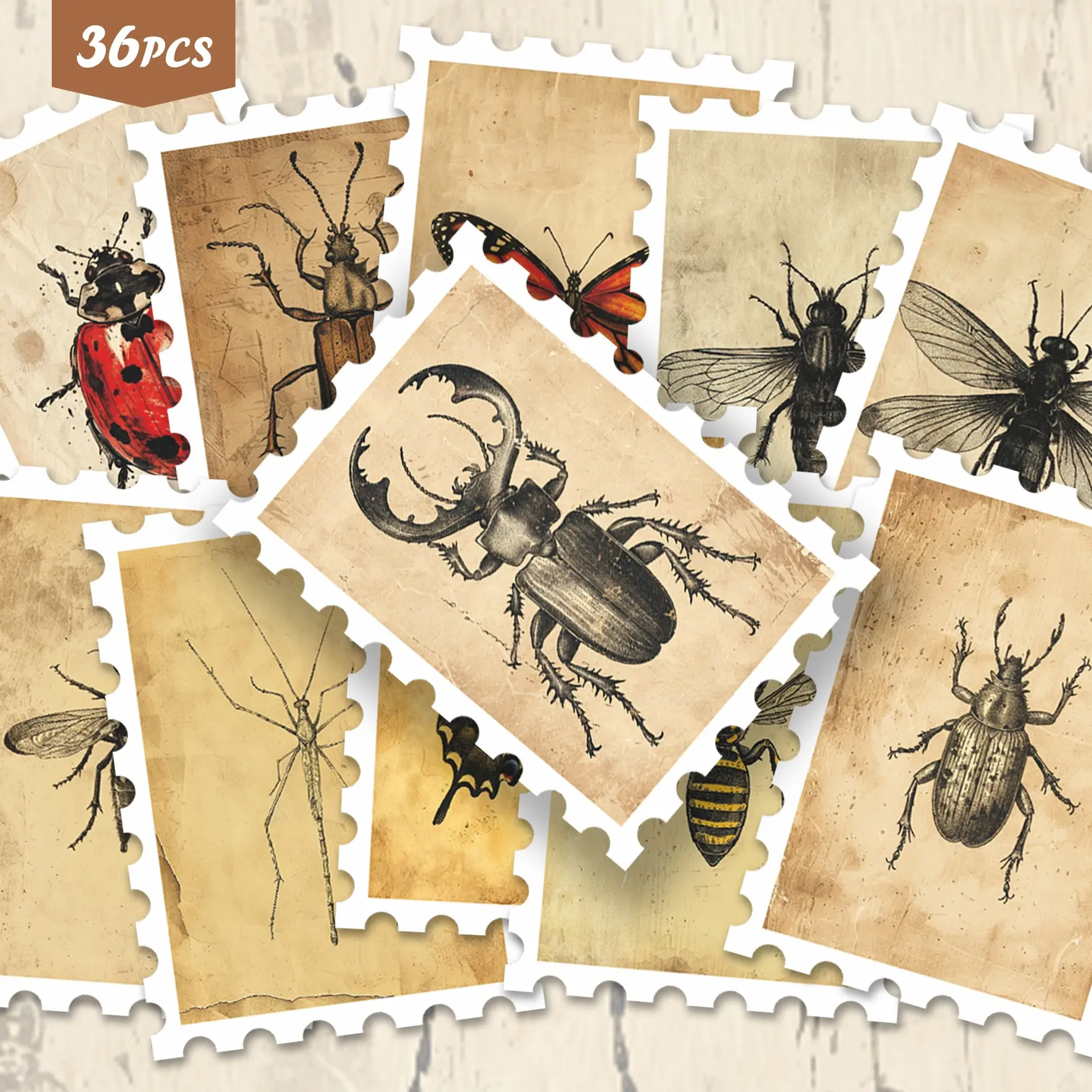 36pcs Vintage Insect Specimen Art Sticker Packs | Detailed Vinyl Decals with Scientific Entomology Designs | for Laptop, Water Bottle & Gift | for Science Fans & Art Enthusiasts
