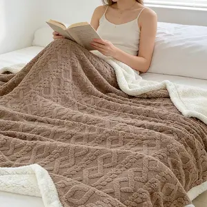 Plush Polyester Fiber Lamb Fleece Blanket, Simple Style Fluffy Cover, All-Season Air Conditioning Blanket, Full Size