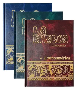 La Biblia Latinoamericana Letra Grande Cartone con Uneros Spanish Edition Assorted Colors