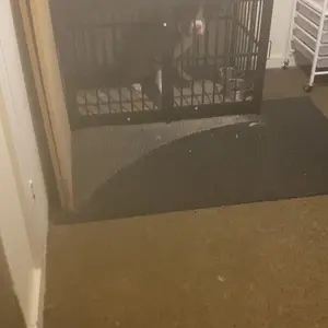 Large Furniture Dog Crate, Dog Kennel Indoor, Wood Dog Cage Table with Drawers Storage, Heavy Duty Dog Crate, Jaula para Perros, Sturdy Metal, 40.5" L×23.6" W×35.4" H