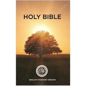 USED-ESV English Standard Version Outreach Bible (Paperback)
