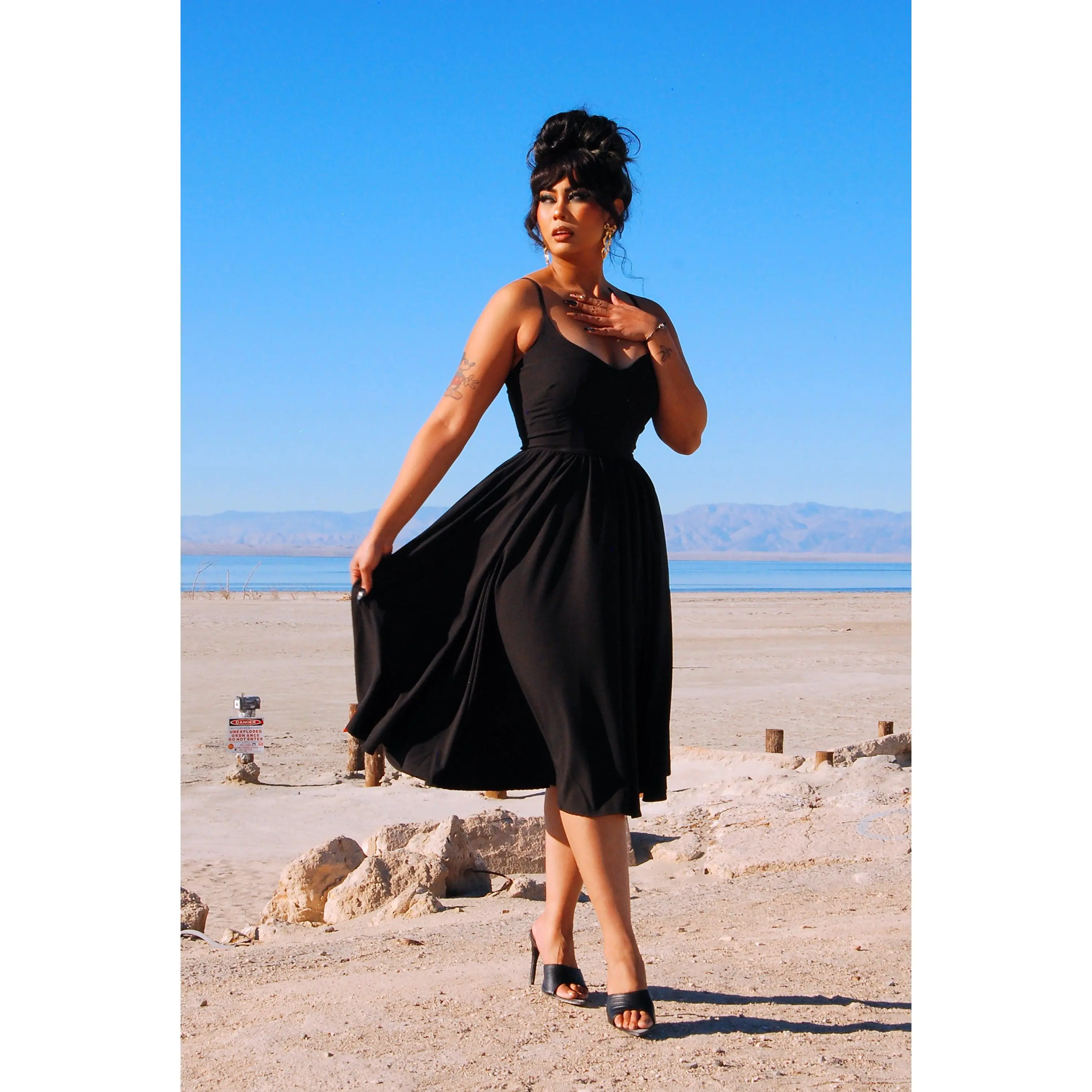 Amalie Ballerina Swing Dress in Solid Black
