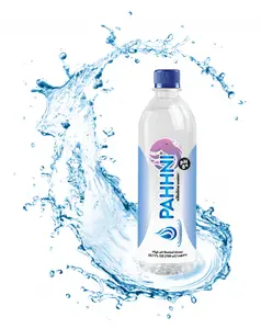 Pahhni Natural Alkaline Water - 12 Pack