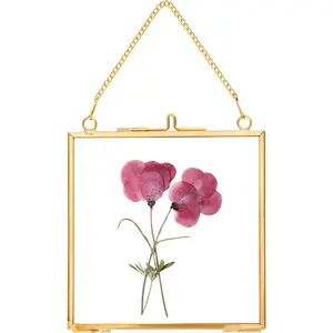 Glass Pressed Flower Frames, Hanging Picture Frames with Chain,Handmade Brass Floating Picture Frame, Specimen Wall Ornament Display Artwork DIY Family Photo,Square,,4x4 Inches