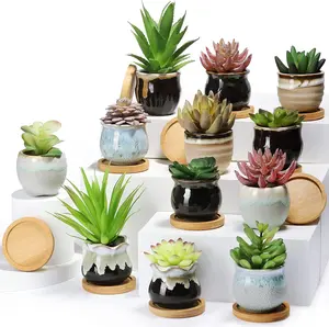Remerry 12 Pcs Small Succulent Pots Bulk with Drainage Assorted 2.5 Inch Mini Ceramic Succulent Planters Pot with Coaster Bamboo Plant Tray Planting Pots for Home Office Garden (Rich Color)