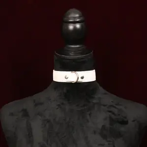 Leather D Ring Collar