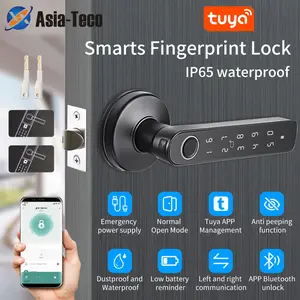 Fingerprint Smart Lock No Key Required Electric Door Lock Digital Keypad Lock for Home & Office, Easy Installation Smart Handle Lock with Advanced Security Features for Wooden Doors